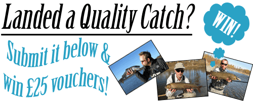 quality-catch