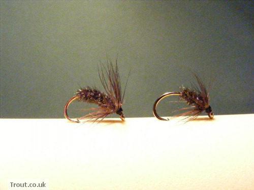 Black Spider Trout Fly Step 8