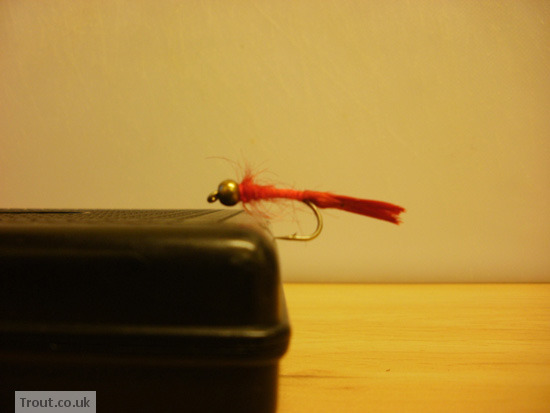 The Golden Head Bloodworm Fly