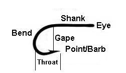 Anatomy of a Hook